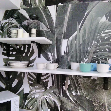 Apartamento Alba Jaca Extérieur photo
